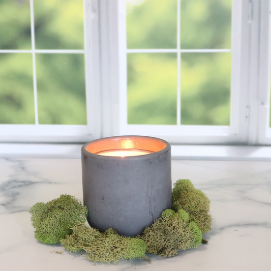 New Beginnings Concrete Candle | Earth, Green Leaves, & Ozone | 8.5oz