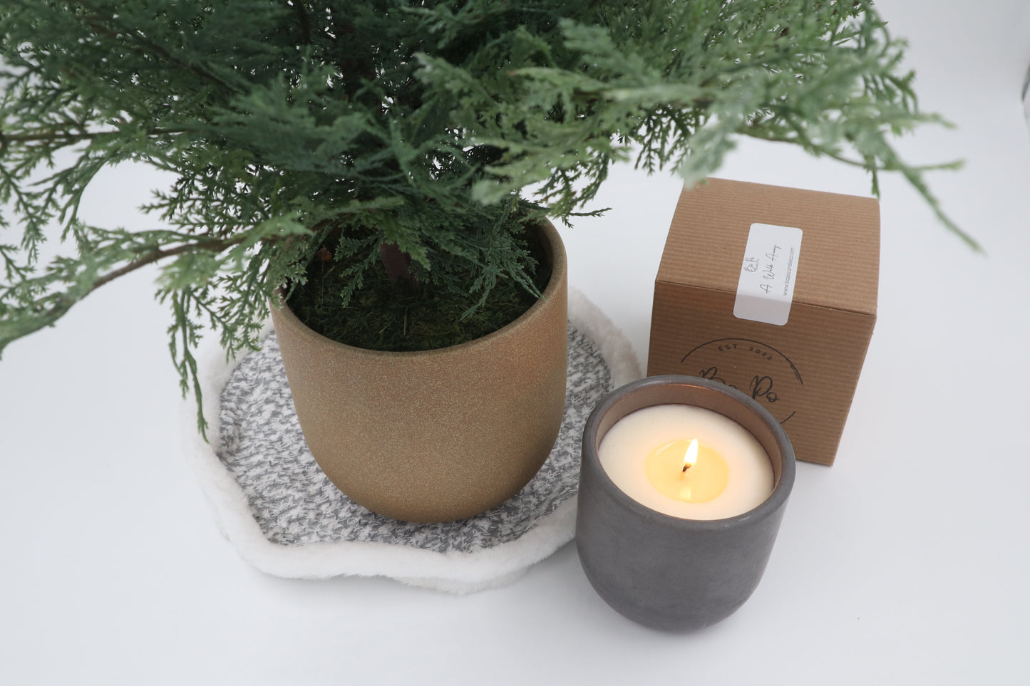 A Walk Away Concrete Candle | Pine, Cypress, & Eucalyptus | 8.5oz