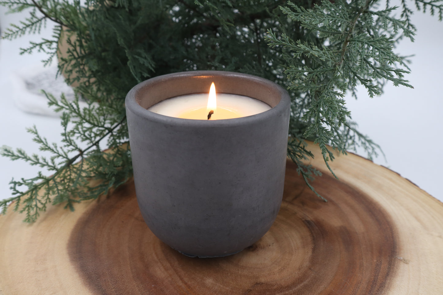 A Walk Away Concrete Candle | Pine, Cypress, & Eucalyptus | 8.5oz