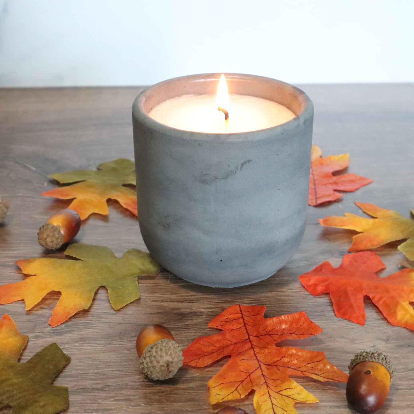 Frolicking Through Foliage Concrete Candle | Cedarwood, Birch, & Musk | 8.5oz