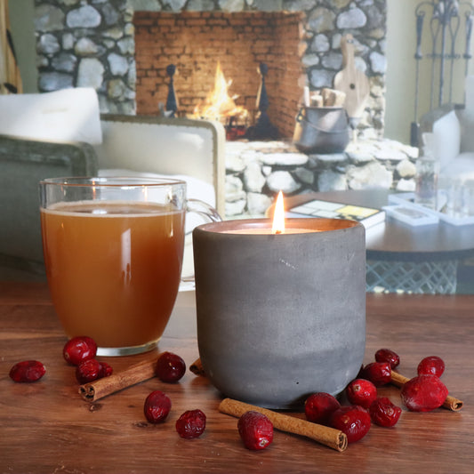 Fruitful Festivities Concrete Candle | Cranberry, Apple, & Cinnamon | 8.5oz