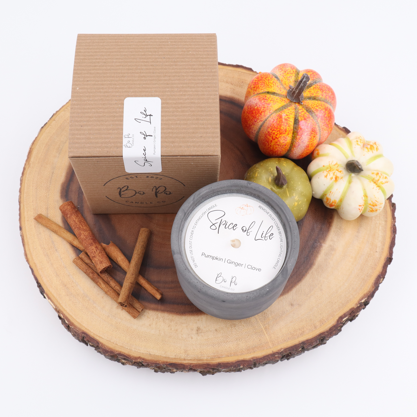 Spice of Life Concrete Candle | Pumpkin, Ginger, & Clove | 8.5oz