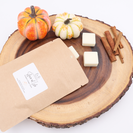 Spice of Life Wax Melts | Pumpkin, Ginger, & Clove | 3.2oz