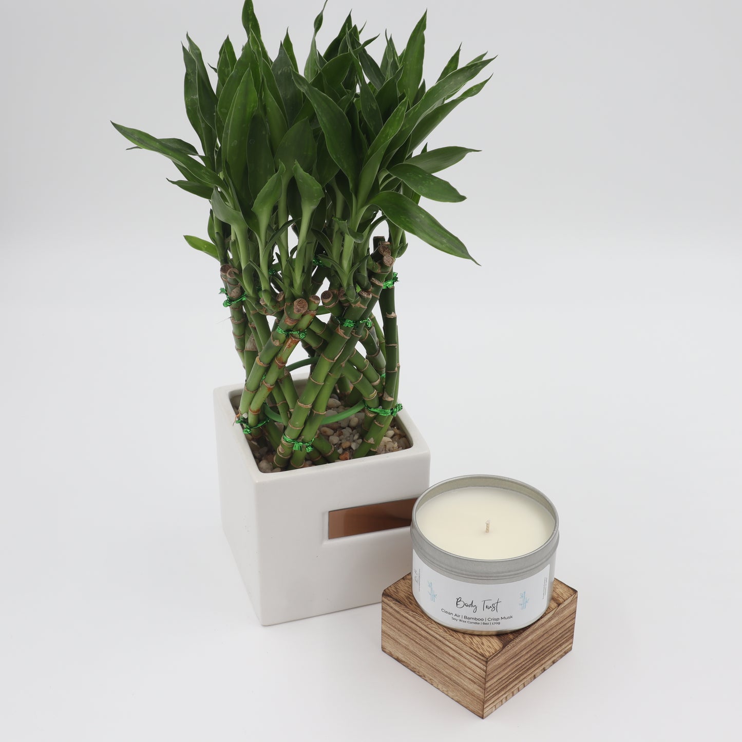 Body Trust Tin Candle | Clean Air, Bamboo, & Crisp Musk | 6oz