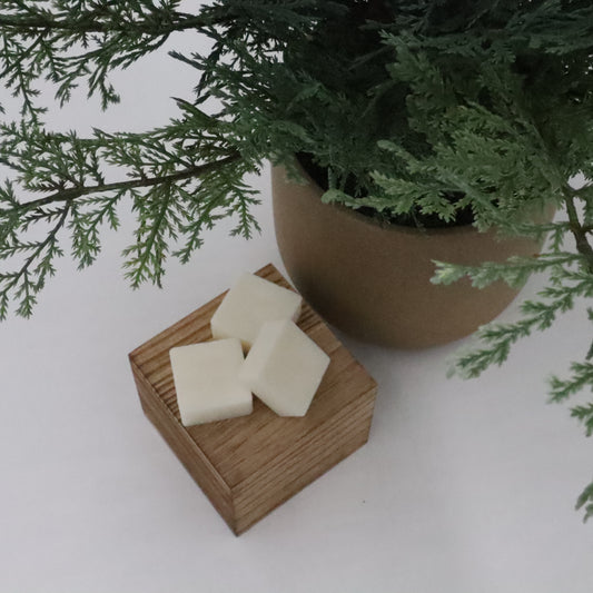 A Walk Away Wax Melts | Pine, Cypress, & Eucalyptus | 3.2oz