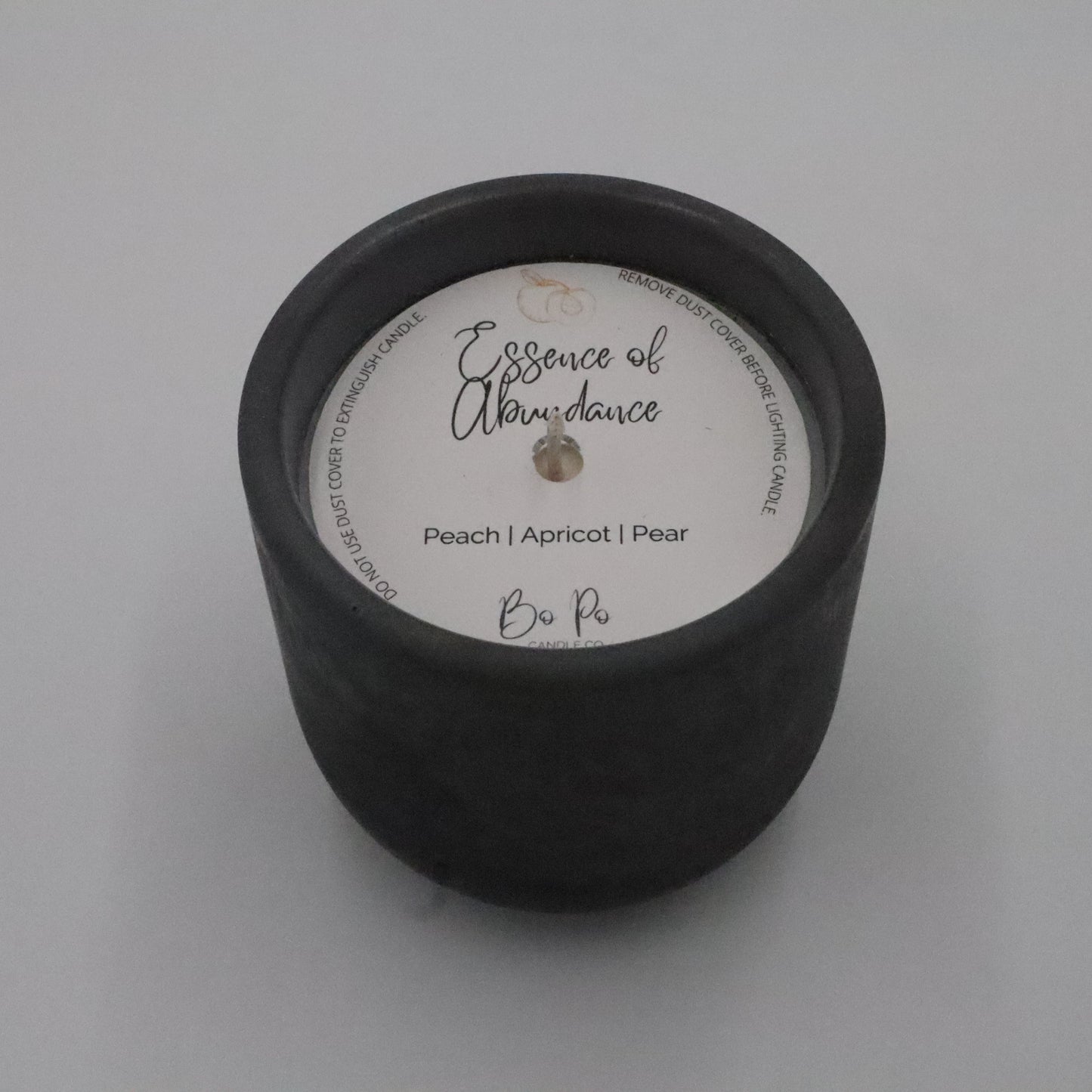 Essence of Abundance Concrete Candle | Peach, Apricot, & Pear | 8.5oz